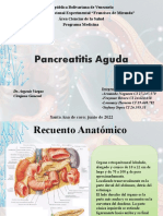 Pancreatitis Aguda Expo Definitiva