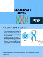 Clase - 5 - Cromosomas y Genes