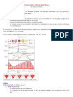 Ciclo Ovarico y Ciclo Menstrual