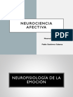 Neurociencia Afectiva - Parte 2