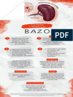 Bazo Infografia