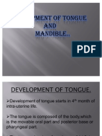 Developement of Mandible and Tongue
