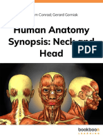 human-anatomy-synopsis