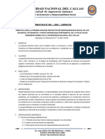 Directiva 001-2021-CERS-FIQ Proyectos de Responsabilidad Social