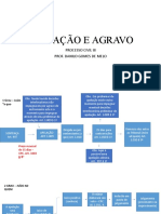 Apelação e Agravo