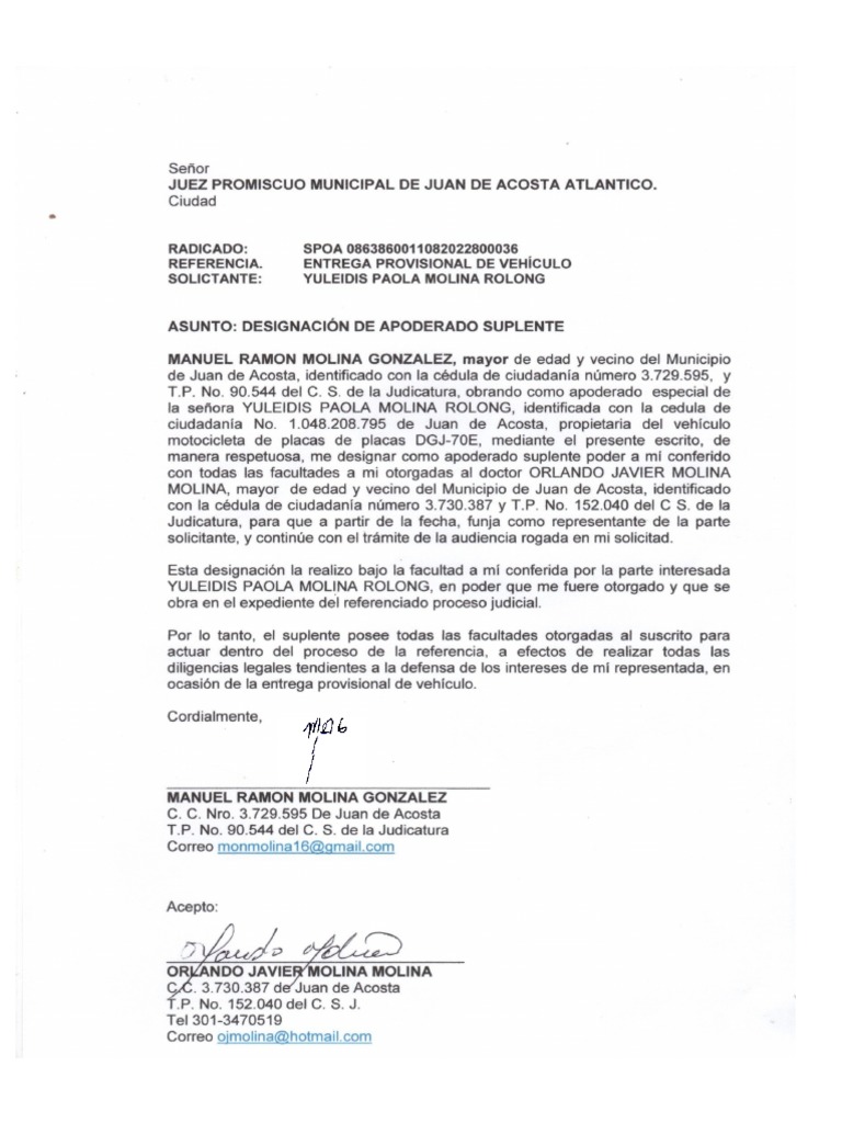 Designacion de Apoderado Suplente | PDF