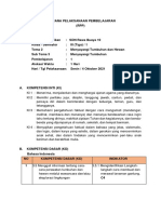 Revisi RPP 1 - Ferra