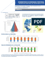Puno - Información Territorial Completo PDF