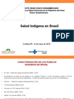Apresentação - Saúde Indígena Brasil - Projeto Chaco Sul Americano - ES