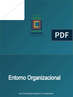 Entorno y Cultura Organisasional