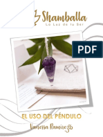 Manual USO DEL PENDULO