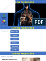 Sistema Respiratório