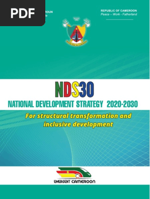 National Development Strategy 2020 2030 | PDF | Governance