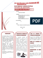 Triptico PDF