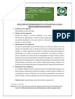 Detección de Enfermedades en Cultivos de Papa Usando Procesamiento de Imágenes