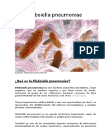 Klebsiella pneumoniae O ENTEROBACTERIA