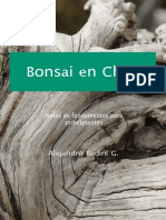 Bonsai Chile 2022
