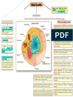 Caracteristica de La Celula Ecuariota
