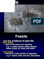 GEOL162 Fossils