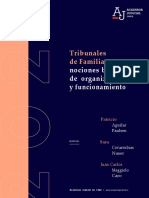 01 - Tribunales de Familia Nociones Basicas de Org y Funcionamiento