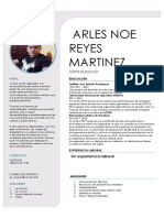 Curriculum Vitae