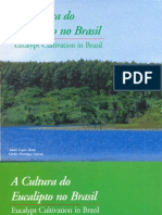 A Cultura Do Eucalipto No Brasil