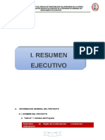 1.-RESUMEN EJECUTIVO JAVIER PEREZ (Autoguardado)