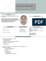 204 Curriculum Vitae Sin Pagar y Sin Registro