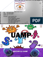 Presentación UAMP