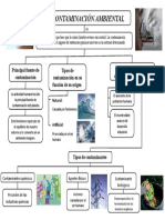 La Contaminación Ambiental