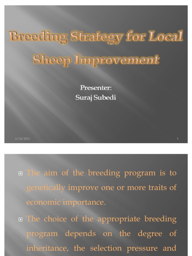 Sheep Breeding Plan PDF Sheep Wool