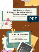 Actividad de Aprendizaje 3 Evidencia Autodiagnóstico "Tipos de Capas"