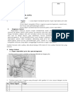 LKPD Sistem Reproduksi Manusia1