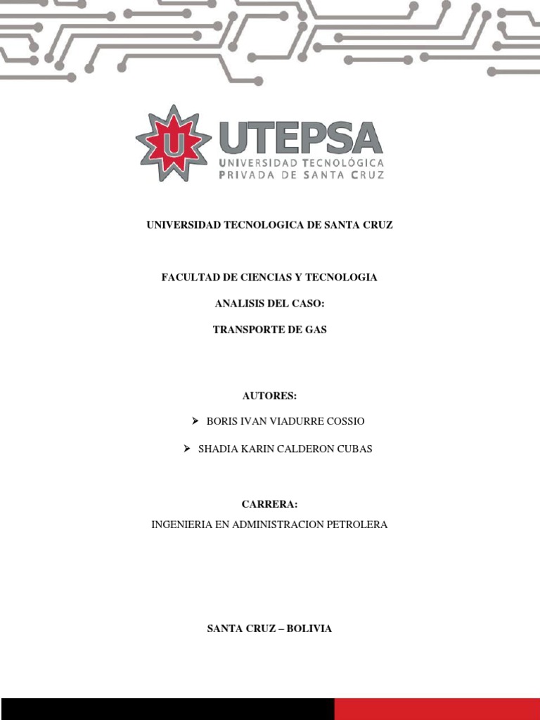 Proyecto de Transporte de Gas Final Terminado | PDF | Transporte por ...