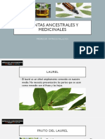 Plantas Ancestrales y Medicinales Clase # 6