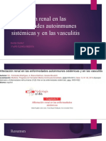 Afectación Renal en Las Enfermedades Autoinmunes Sistémicas y