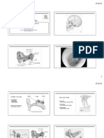 Impedanciometría: anatomofisiología y conceptos básicos