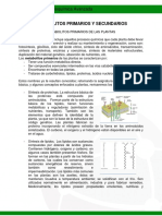 Metabolitos Primarios y Secundarios