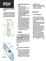 Lecture 3 - Protist: Protists