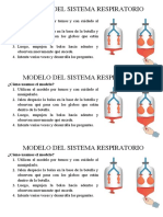 Modelo Del Sistema Respiratorio