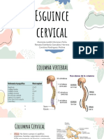 Esguince cervical: causas, síntomas y tratamiento
