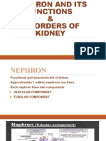 The Structure and Functions of the Nephron and Common Kidney Disorders