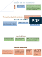 Flujograma Bioquimica