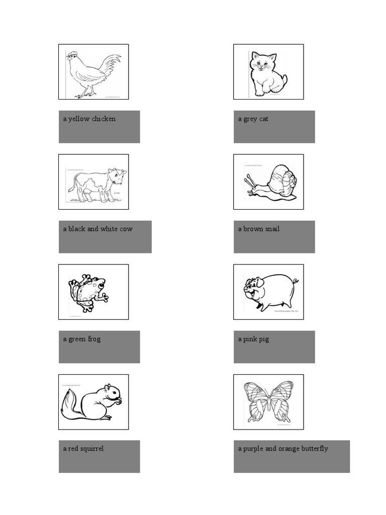 Colour The Animals | PDF
