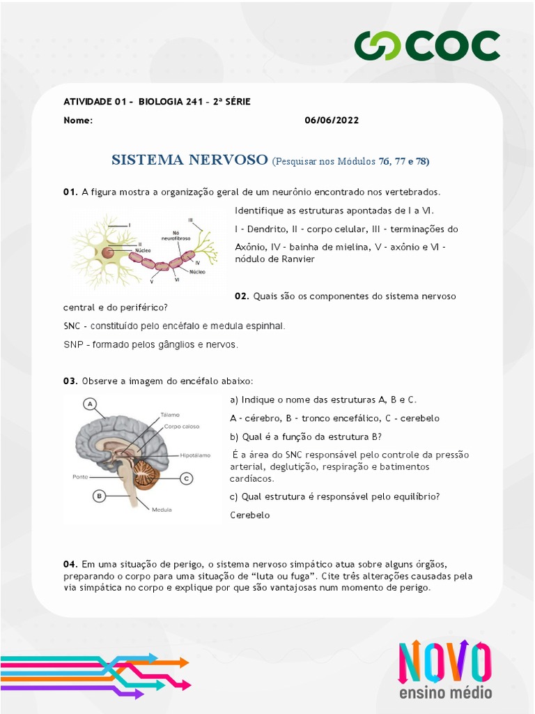 Atividade Sistema Nervoso - Gabarito | PDF | Nervo | Sistema nervoso