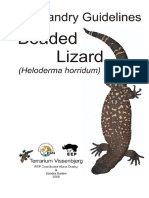 Mexican Beaded Lizard Heloderma Horridum