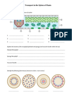 Plant Structure