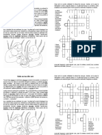 J0109 - CeleCeIesDinOmplusrezolvarea