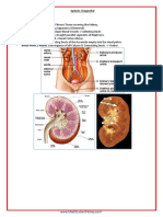 Genitourinary Sample