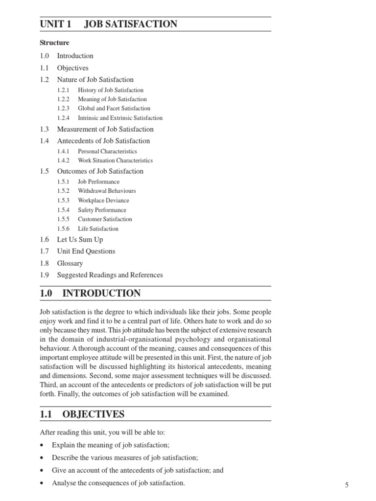 Understanding Job Satisfaction Factors | PDF | Job Satisfaction ...